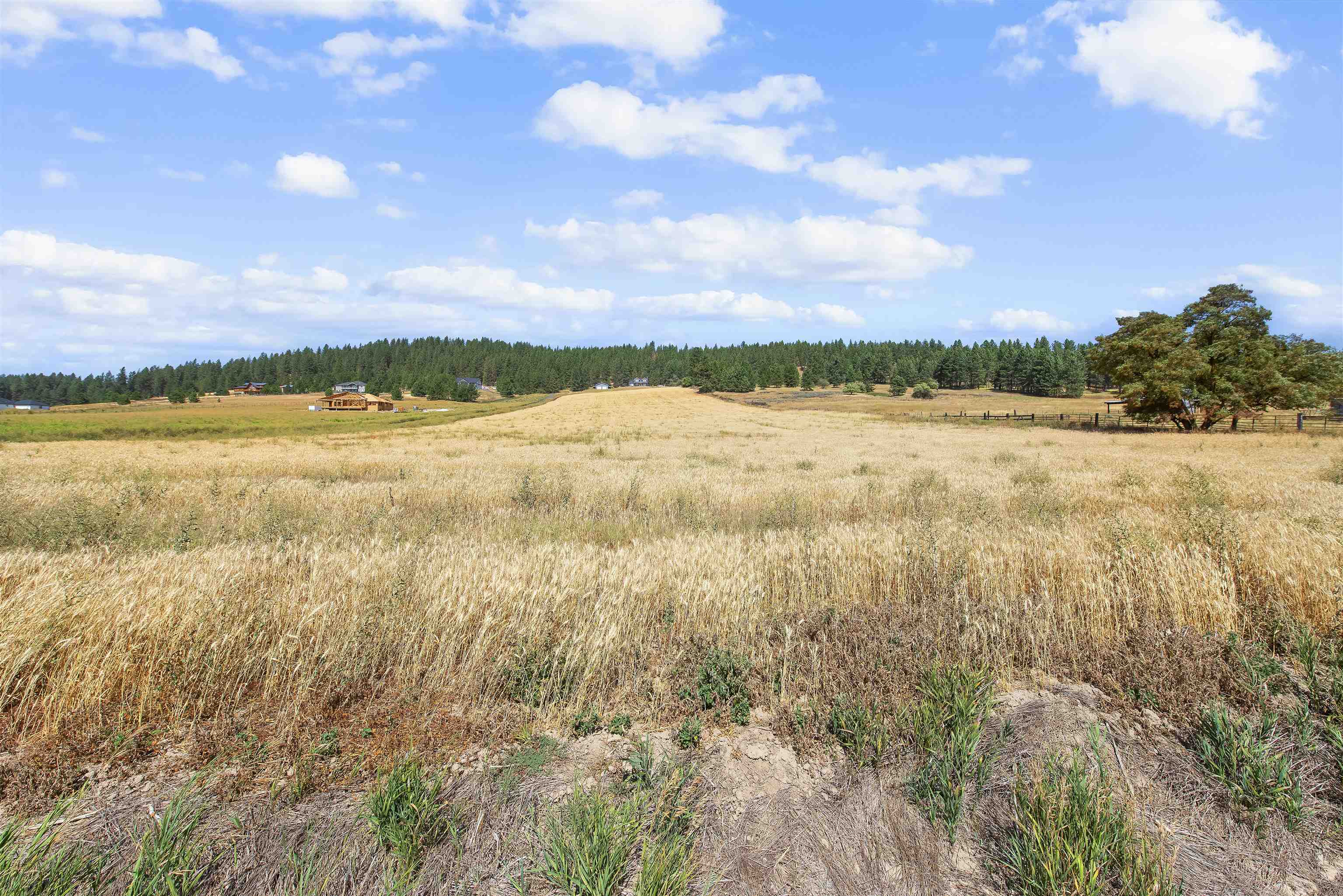 Tbd East Big Meadows Road Chattaroy, WA 99003 - Photo 3 of 9
