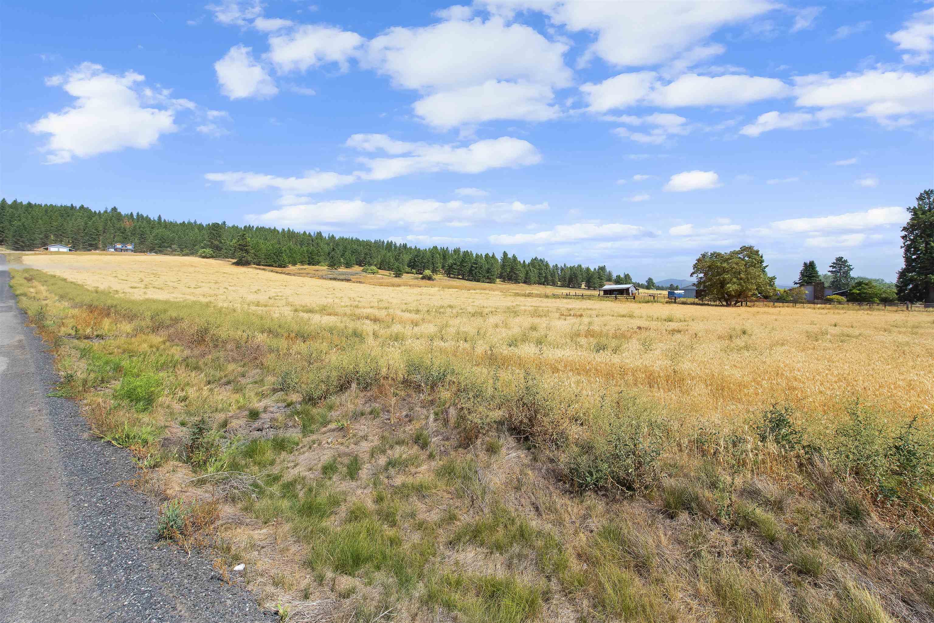 Tbd East Big Meadows Road Chattaroy, WA 99003 - Photo 4 of 9