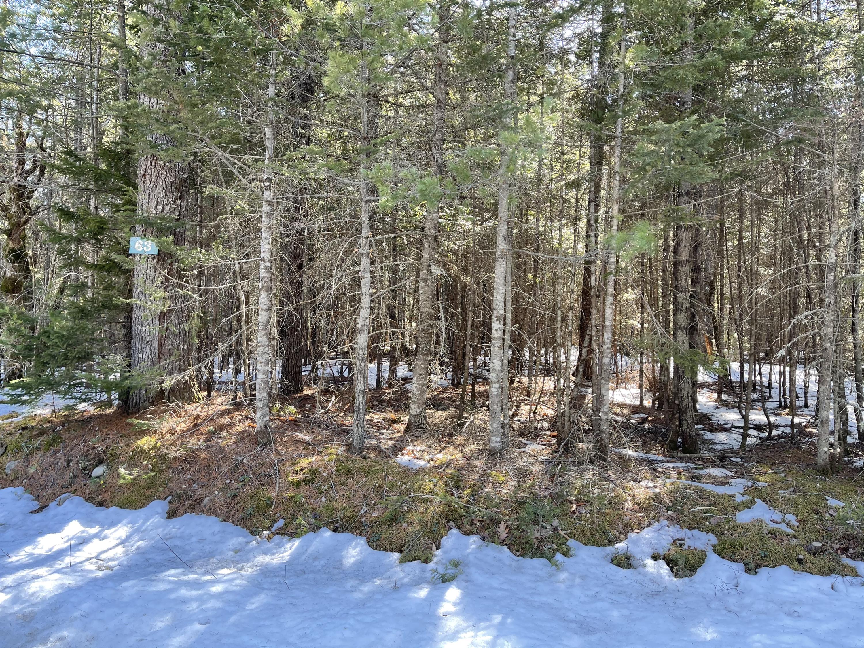 63-64 Kettle Ridge Northfield, ME 04654 - Photo 1 of 19 IMG-0788