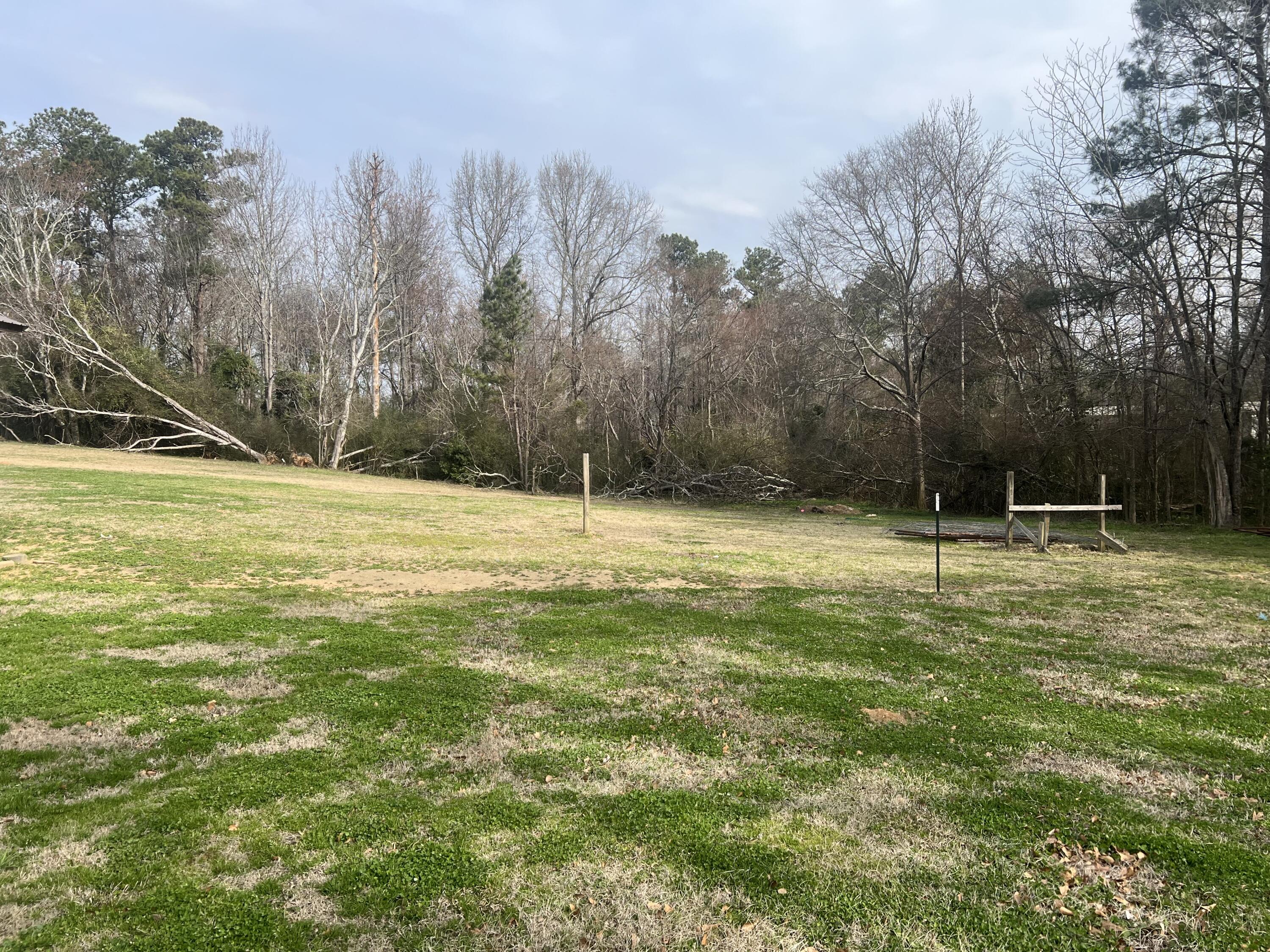 179 Independence Street Tignall, GA 30668 - Photo 23 of 23 IMG_9288