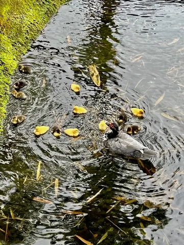 a picture of water view