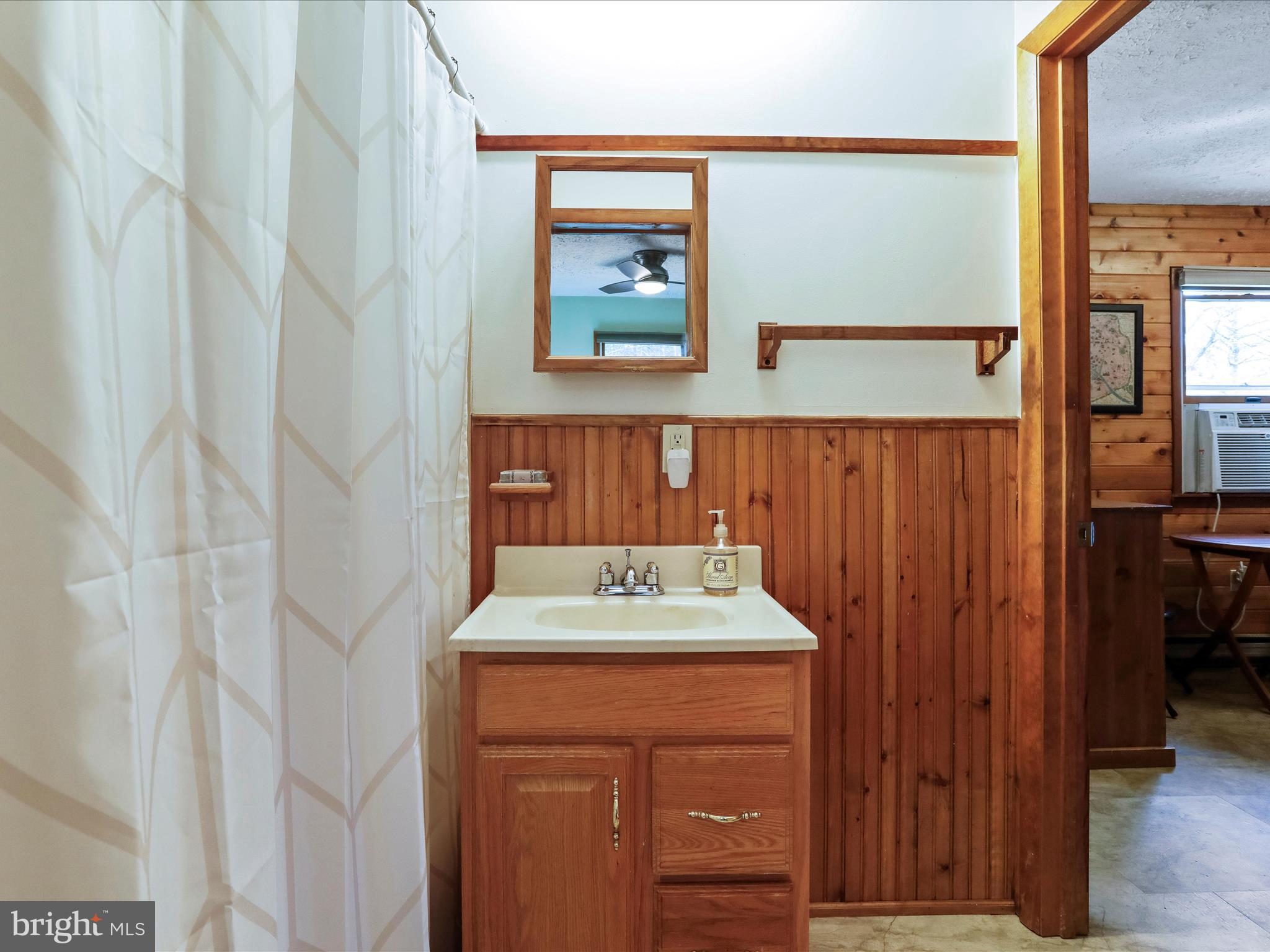 233 High Cliff Road Capon Bridge, WV 26711 - Photo 29 of 42 Main Level Dual Entry Full Bath
