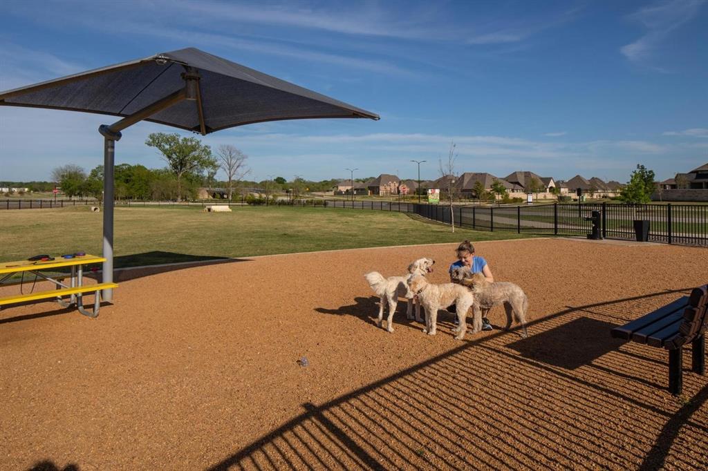 320 Bee Balm Road McKinney, TX 75071 - Photo 34 of 40 Old Joe Dog Park at Trinity Falls