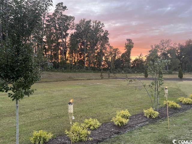 541 Honeyhill Loop Conway, SC 29526 - Photo 26 of 32 A document