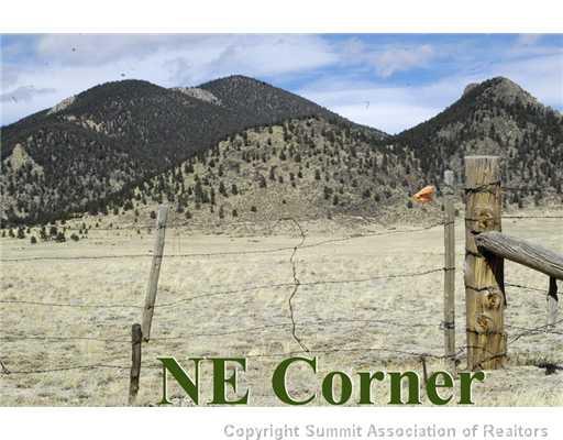 10433 Jackson Road Lake George, CO 80827 - Photo 3 of 12