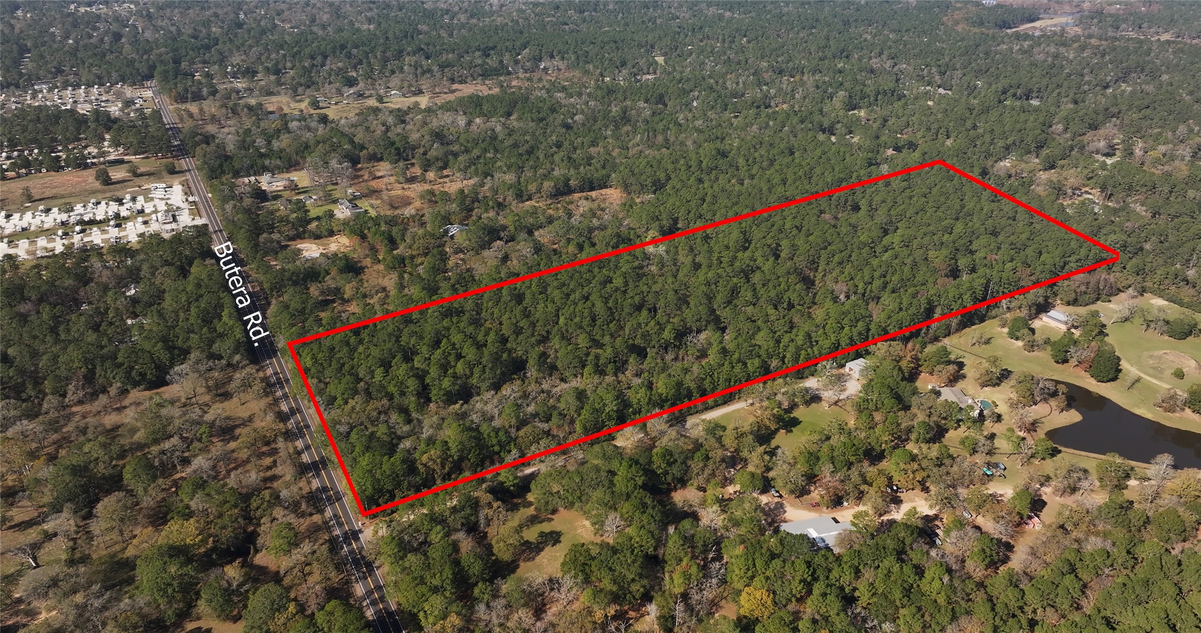 a green field with flowers and trees