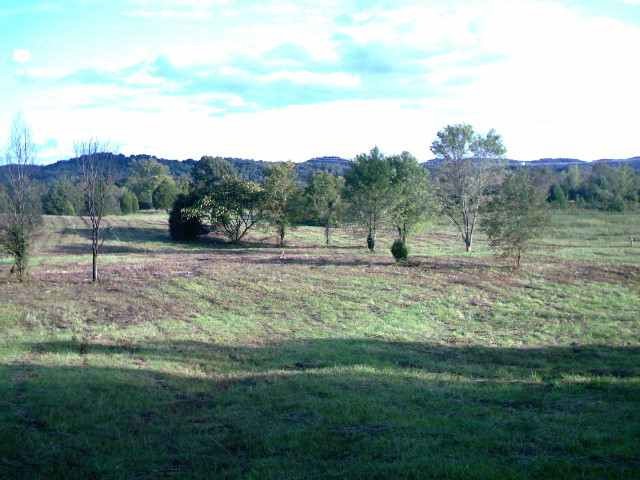 0 State Highway North Ten Mile, TN 37880 - Photo 1 of 1