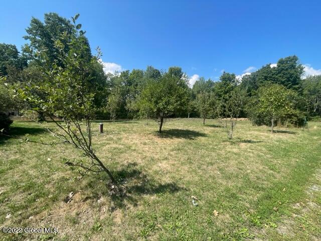 124 Jaycox Road Rensselaerville, NY 12120 - Photo 19 of 21 Fruit trees