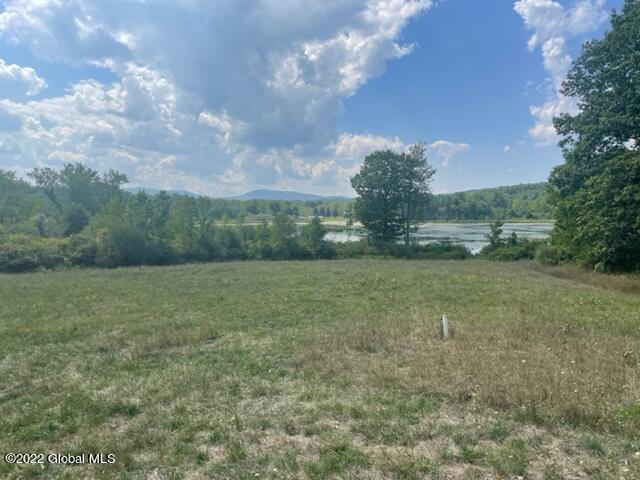 124 Jaycox Road Rensselaerville, NY 12120 - Photo 20 of 21 View from deck