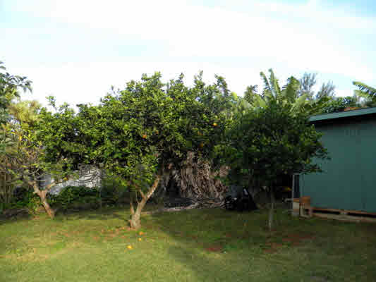 2384 Hulemalu Road Lihue, HI 96766 - Photo 20 of 23 Gallery Image 20