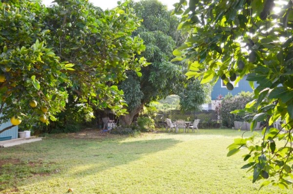 2384 Hulemalu Road Lihue, HI 96766 - Photo 21 of 23 Gallery Image 21