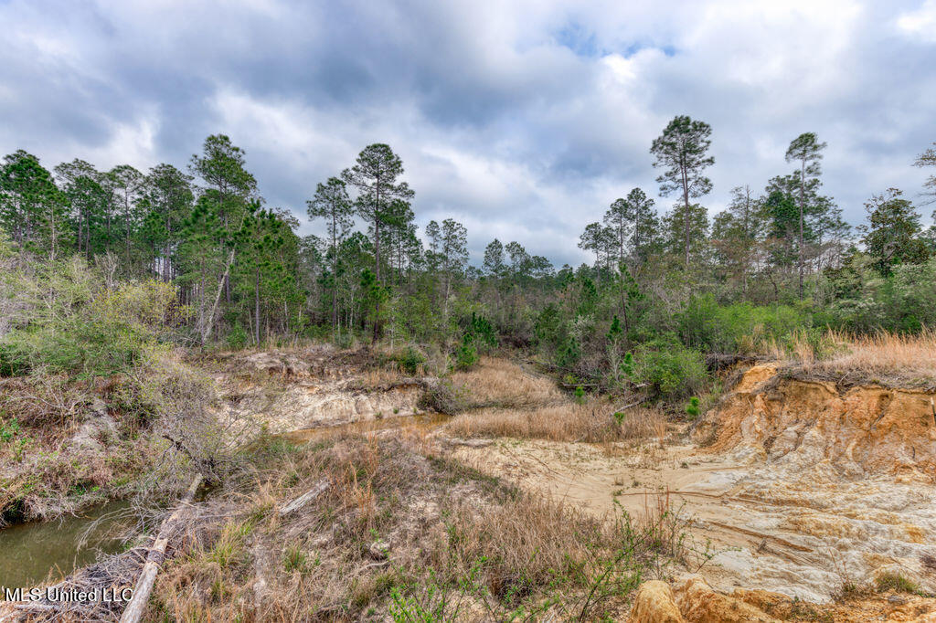 15429 Indian Fork Road Vancleave, MS 39565 - Photo 47 of 63 Creek Area