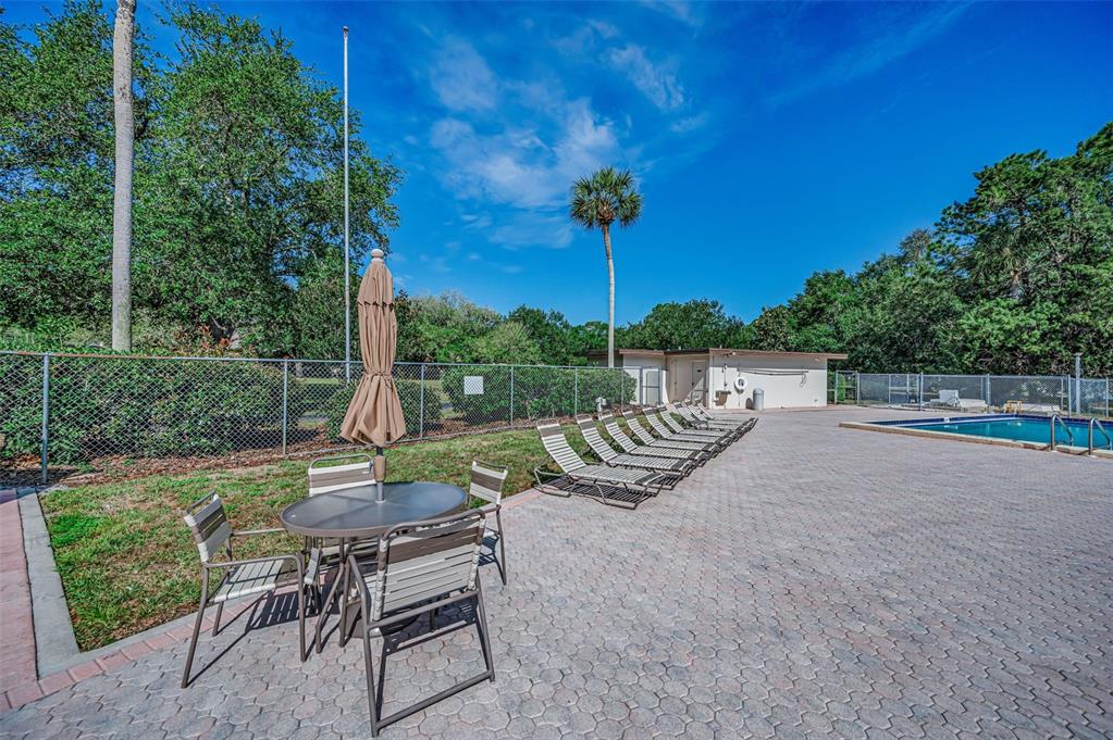 520 Sandy Hook Road Palm Harbor, FL 34683 - Photo 62 of 76