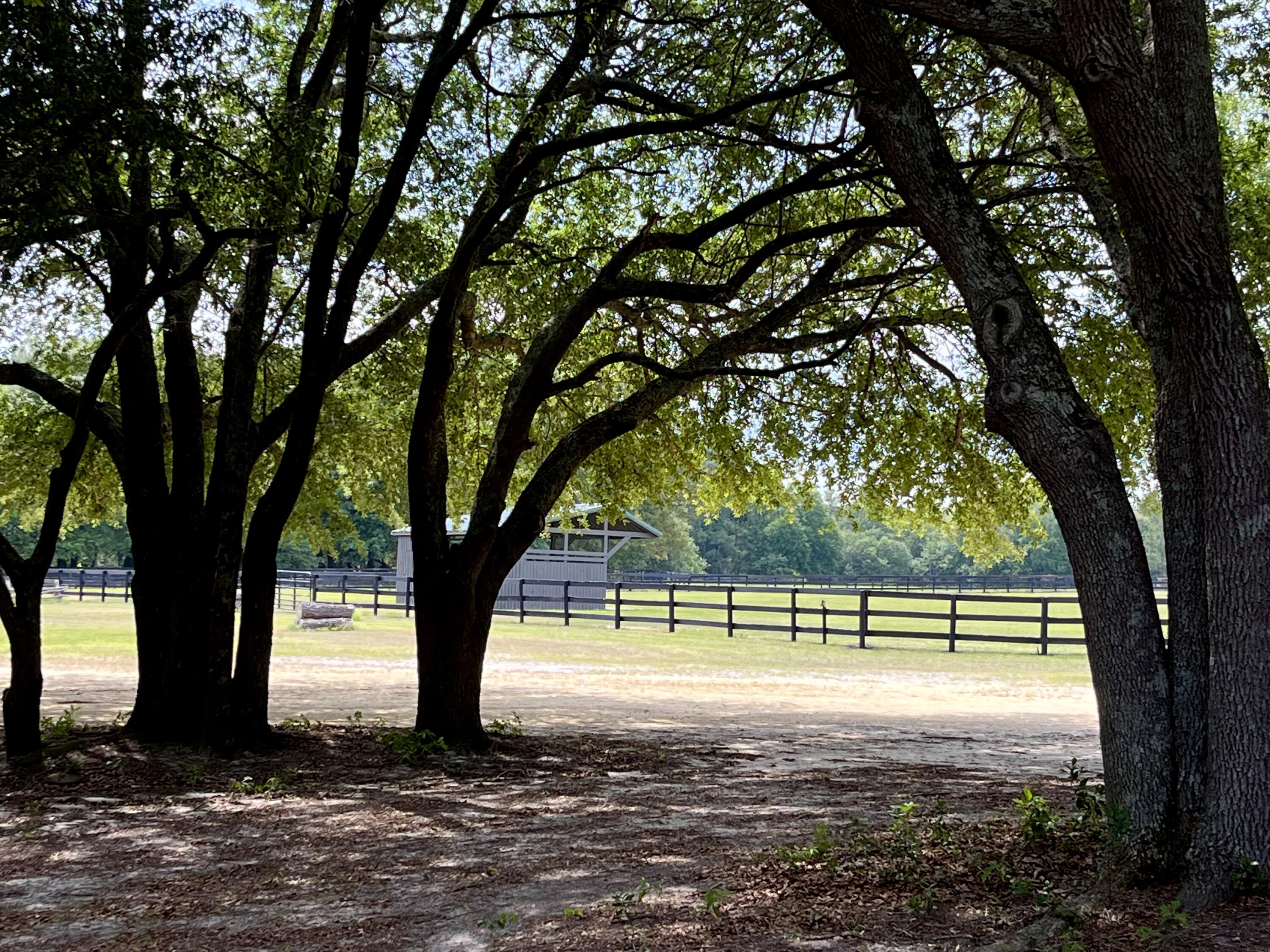 440 Coleman Bridge Road Aiken, SC 29805 - Photo 73 of 82