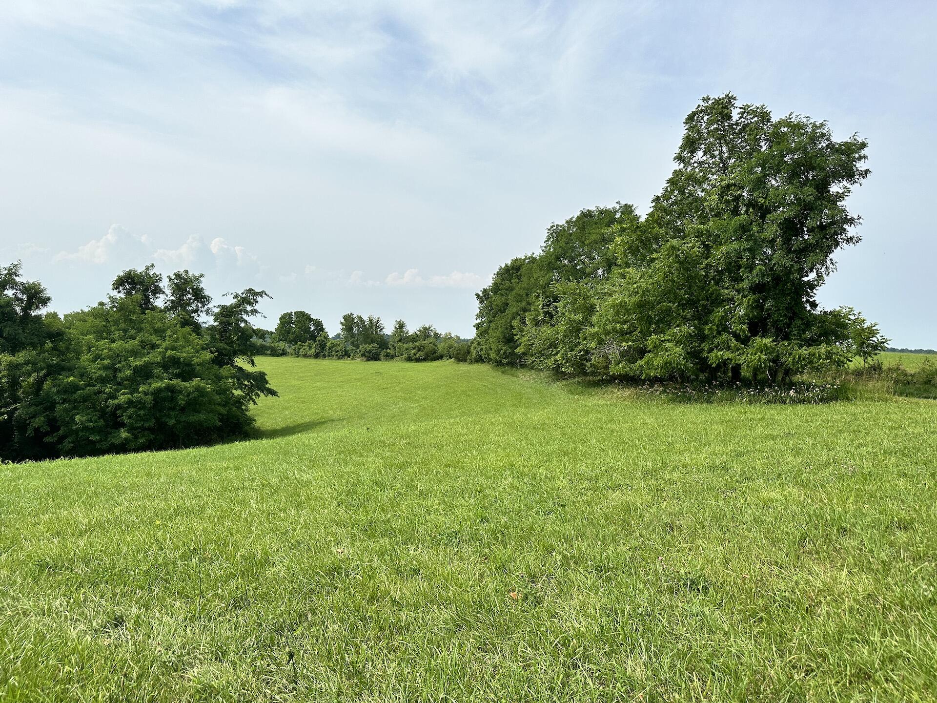 2 Vallandingham Road Dry Ridge, KY 41035 - Photo 6 of 7