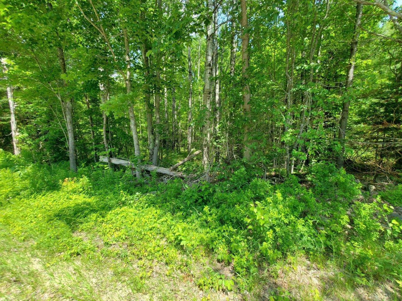 0 Morgan Road Burnham, ME 04922 - Photo 65 of 69 20250617_130838