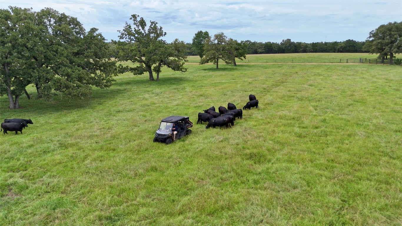 705 Antioch Road Paige, TX 78659 - Photo 34 of 40 a backyard of a house with lots of green space and lake view in back