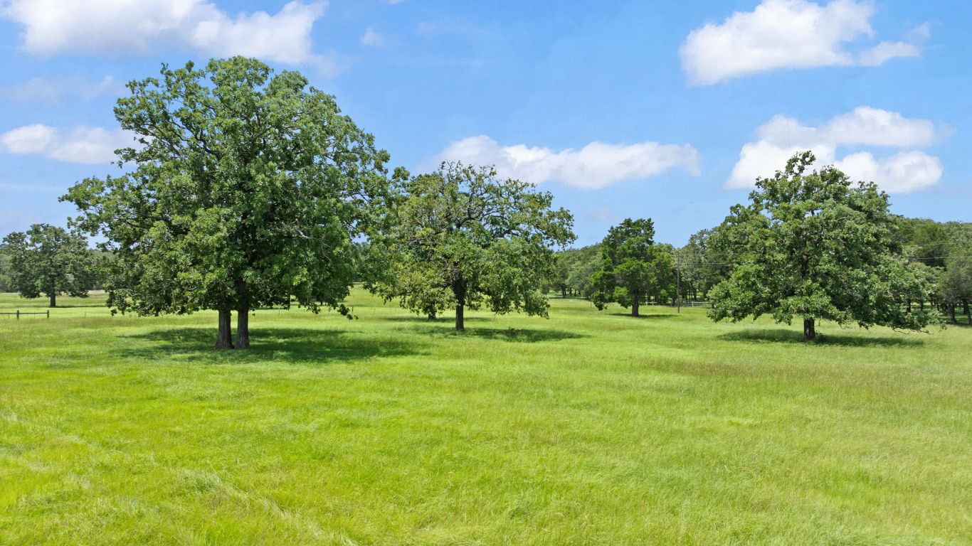 705 Antioch Road Paige, TX 78659 - Photo 35 of 40 a grassy field with trees in the background
