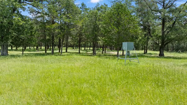 705 Antioch Road Paige, TX 78659 - Photo 37 of 40 a view of park with trees