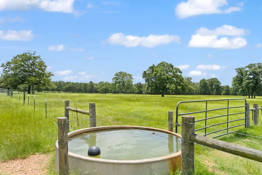 705 Antioch Road Paige, TX 78659 - Photo 39 of 40 a view of a water fountain and a lake view