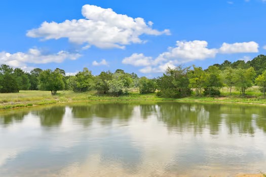 705 Antioch Road Paige, TX 78659 - Photo 7 of 40 a view of a lake with a yard