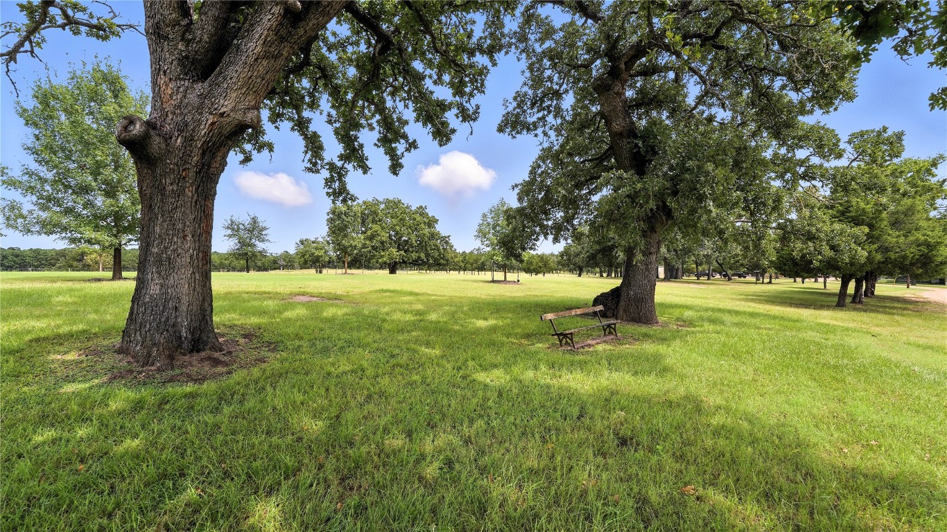705 Antioch Road Paige, TX 78659 - Photo 9 of 40 a view of a tree in a yard