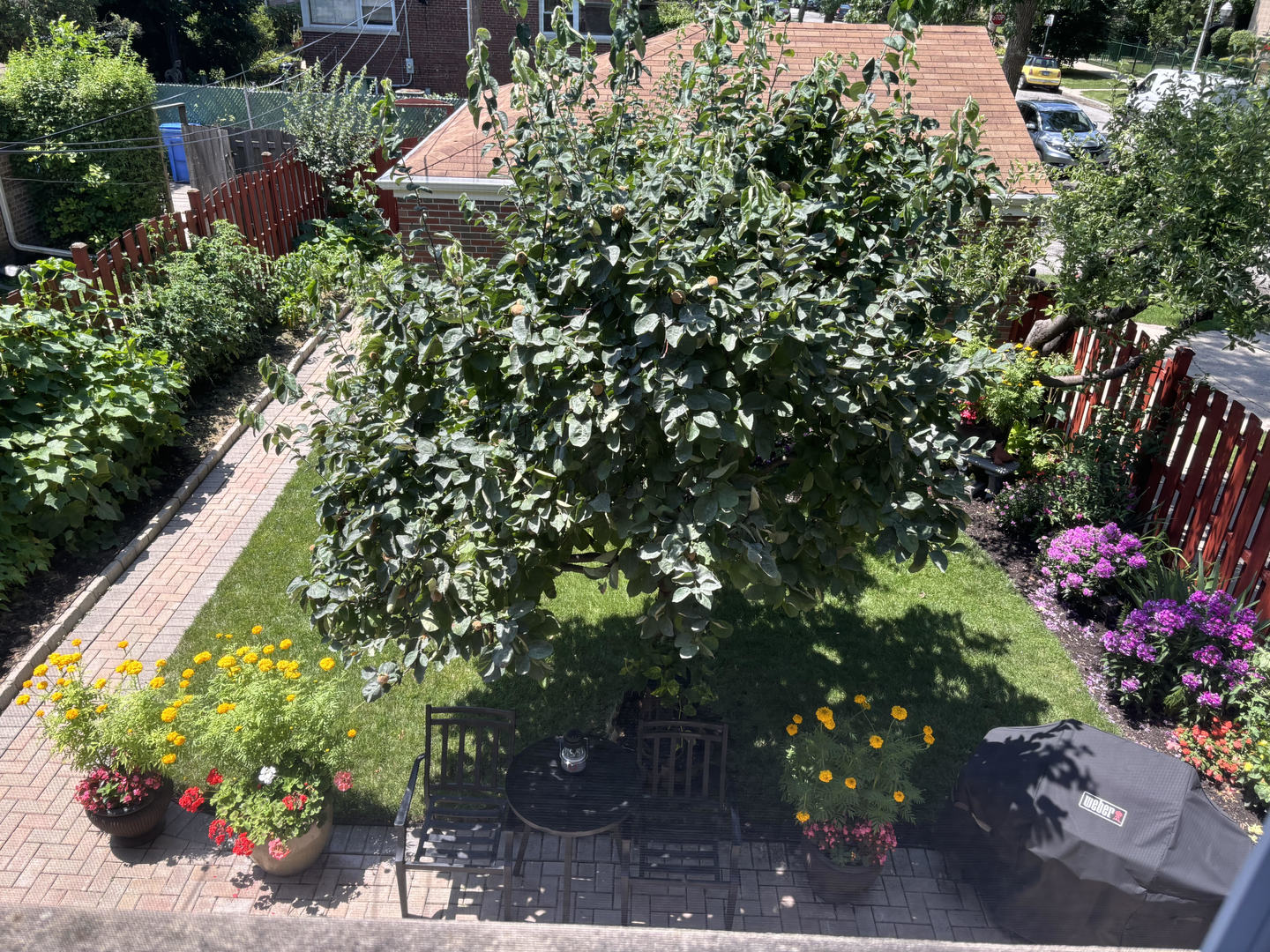 5658 North Richmond Street, Unit 2 Chicago, IL 60659 - Photo 12 of 12 a picture of flowers