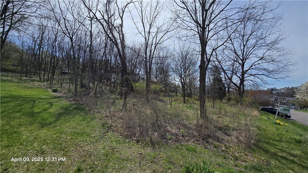 0 Shadowlawn Drive Pittsburgh, PA 15227 - Photo 5 of 9