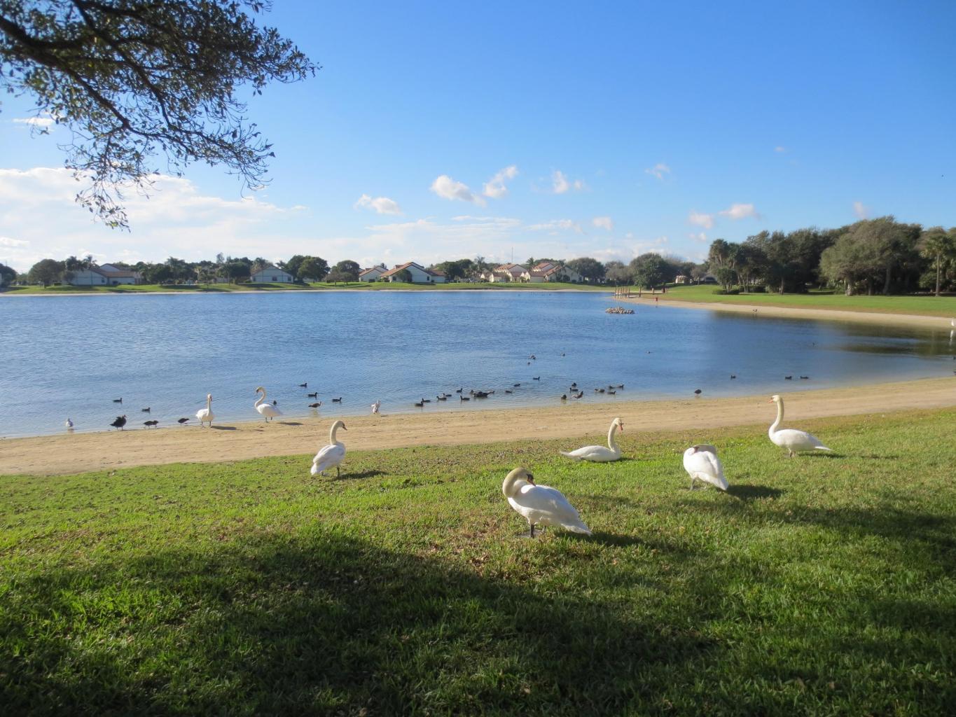 3117 Kingswood Terrace Boca Raton, FL 33431 - Photo 12 of 12 Lake Windwood