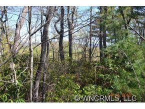 9999 Fox Ridge Drive Fletcher, NC 28732 - Photo 2 of 10 Gallery Image 2