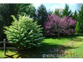 9999 Fox Ridge Drive Fletcher, NC 28732 - Photo 3 of 10 Gallery Image 3