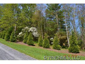 9999 Fox Ridge Drive Fletcher, NC 28732 - Photo 4 of 10 Gallery Image 4