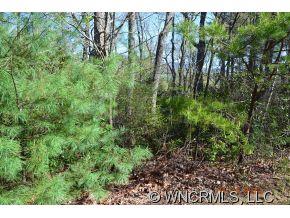 9999 Fox Ridge Drive Fletcher, NC 28732 - Photo 5 of 10 Gallery Image 5