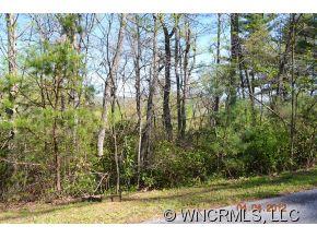 9999 Fox Ridge Drive Fletcher, NC 28732 - Photo 6 of 10 Gallery Image 6