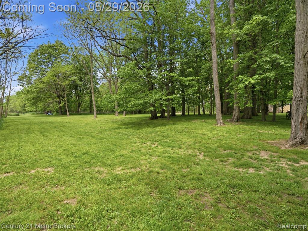 11447 North Latson Road Linden, MI 48451 - Photo 42 of 52
