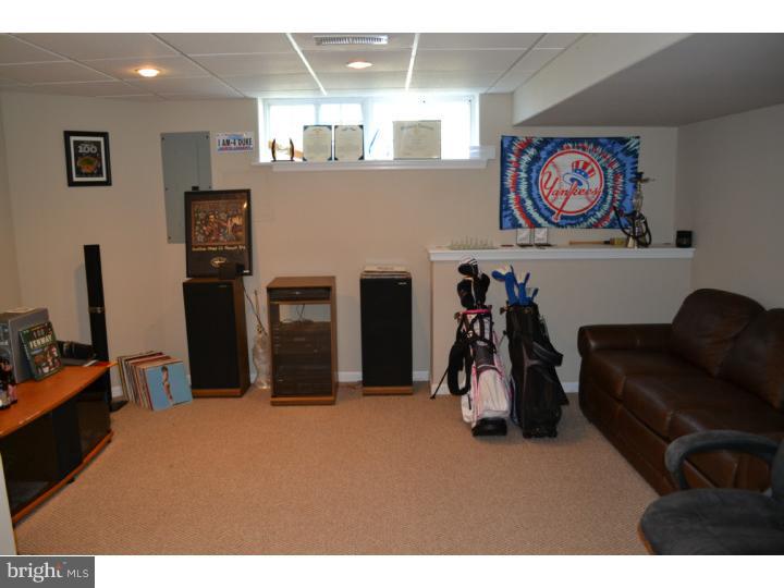 377 Daniel Road Smyrna, DE 19977 - Photo 10 of 18 Basement - Finished