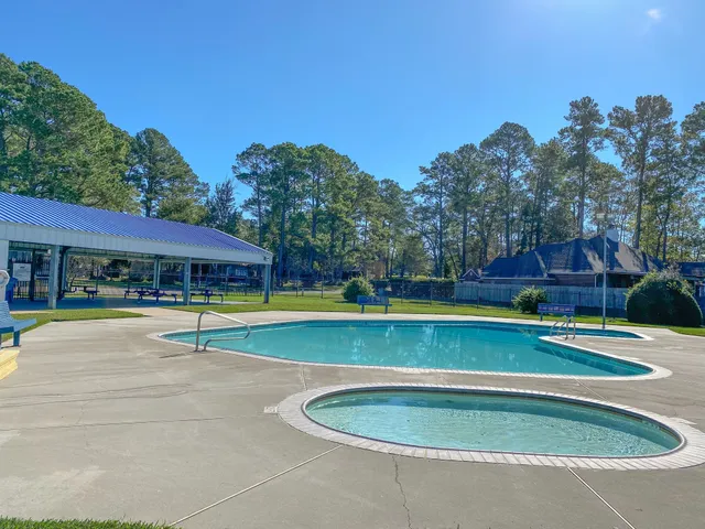 a view of a swimming pool and trees in the background