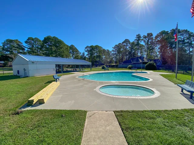 a view of a swimming pool with a yard and plants