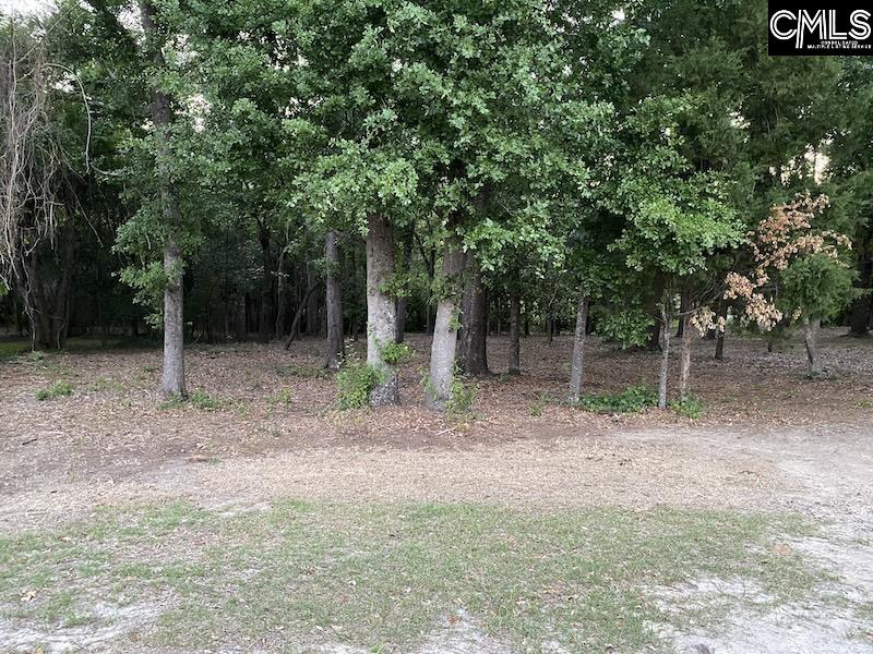 1155 Jones-Wire Road Swansea, SC 29160 - Photo 6 of 6