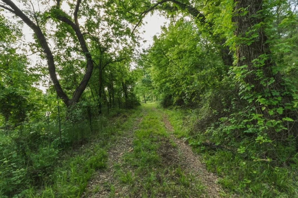 1370 Capstone Rdg Road Santo, TX 76472 - Photo 6 of 22