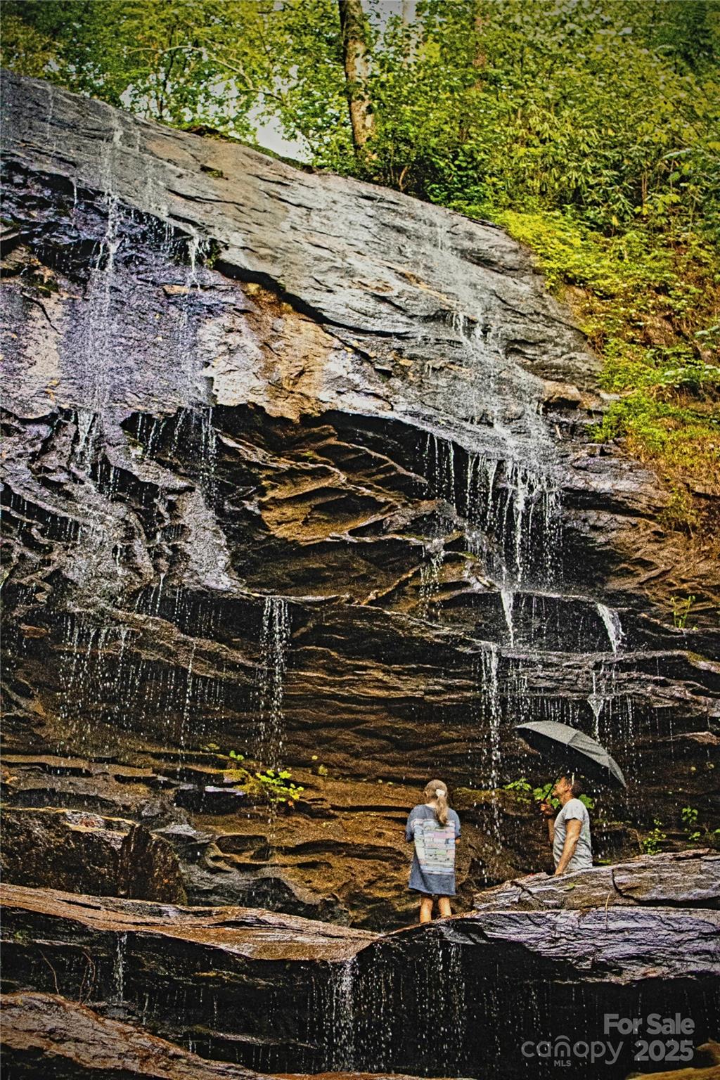 17.73-acres The Fls Road Union Mills, NC 28167 - Photo 13 of 16