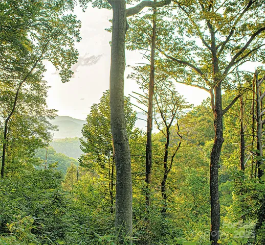 $755,000 | 17.73-acres The Fls Road, Union Mills, NC 28167