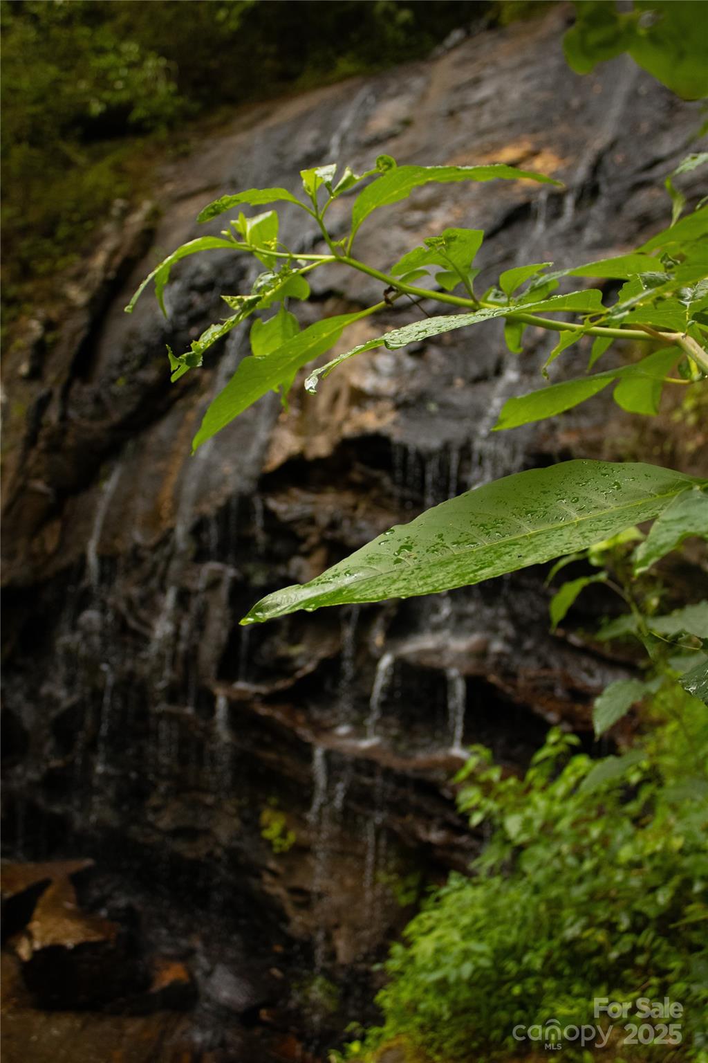17.73-acres The Fls Road Union Mills, NC 28167 - Photo 15 of 16