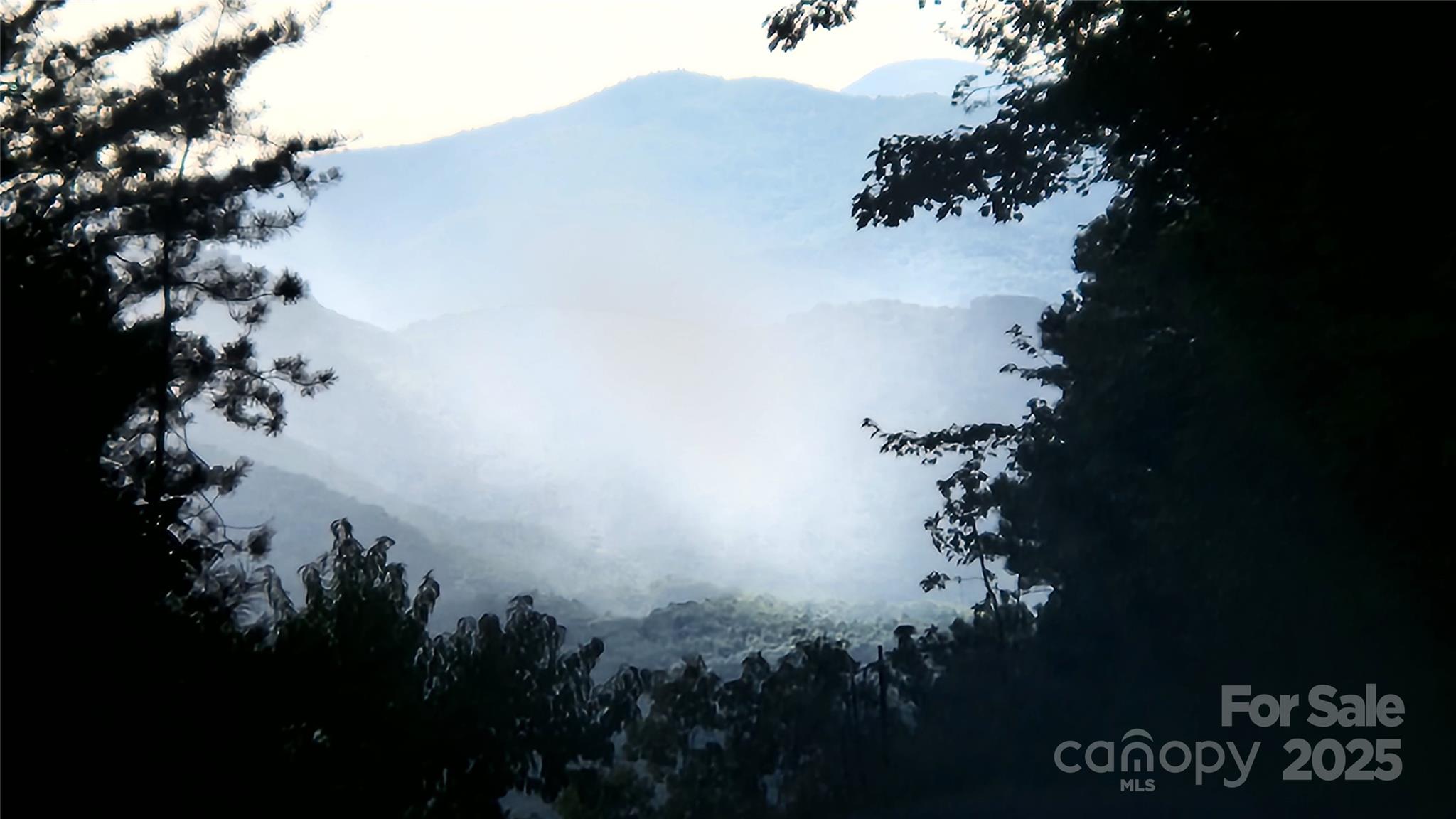 17.73-acres The Fls Road Union Mills, NC 28167 - Photo 3 of 16