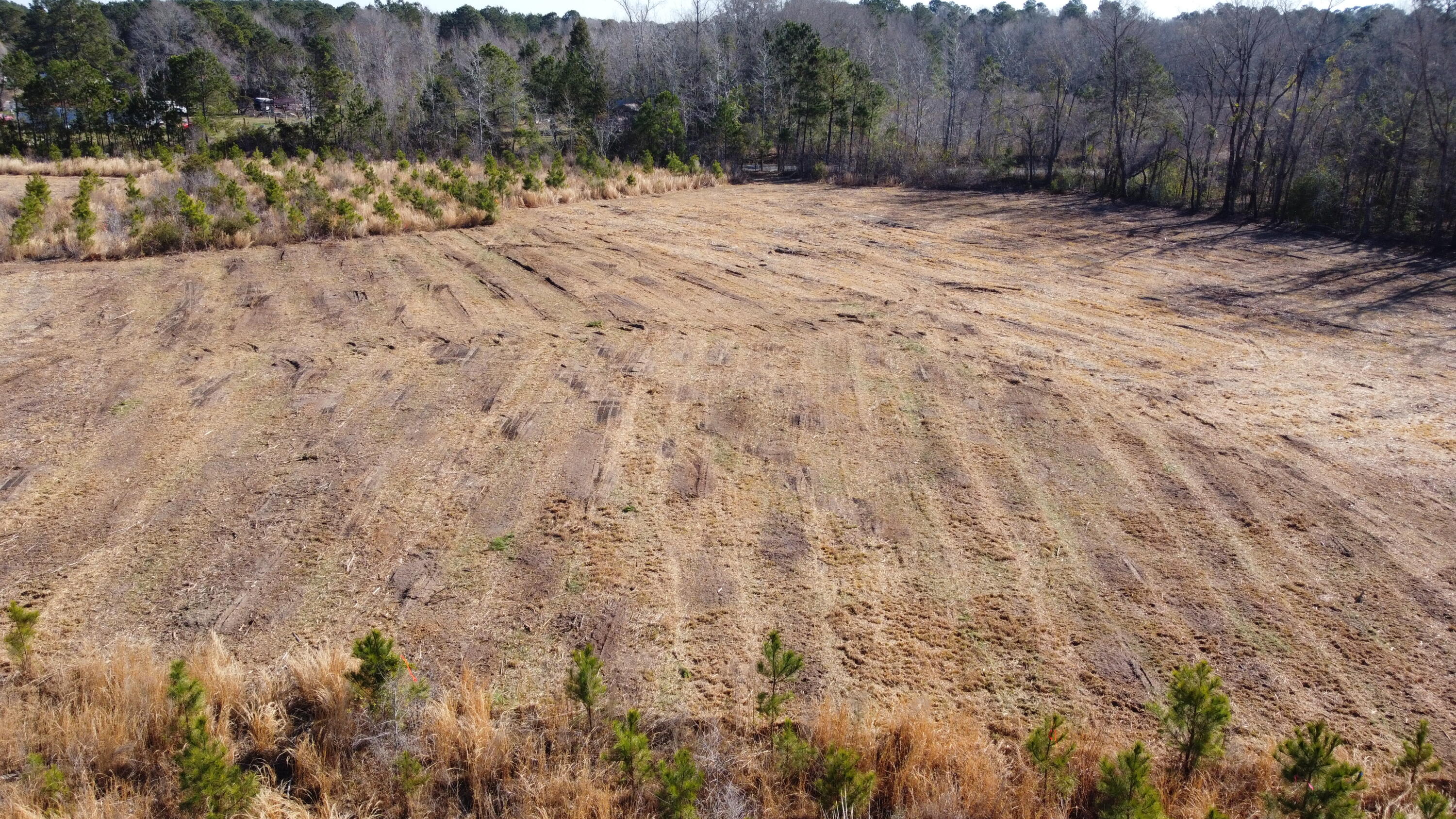 8 Highway 6 Cross, SC 29436 - Photo 6 of 9 DJI_0172