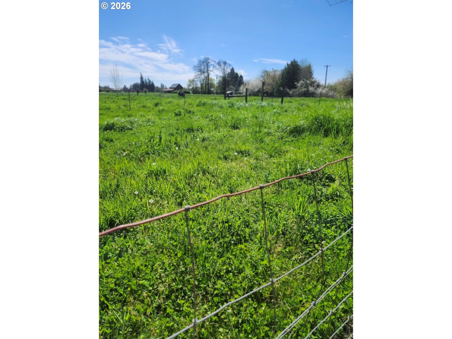 21601 Southwest McKee Road Amity, OR 97101 - Photo 5 of 7 Pasture