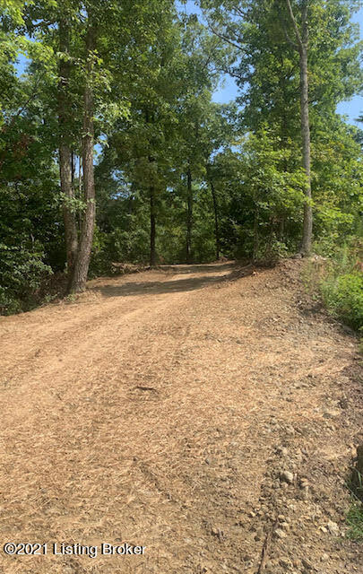 Lot 4 Water Tower Road Lebanon Junction, KY 40150 - Photo 3 of 9 28.2