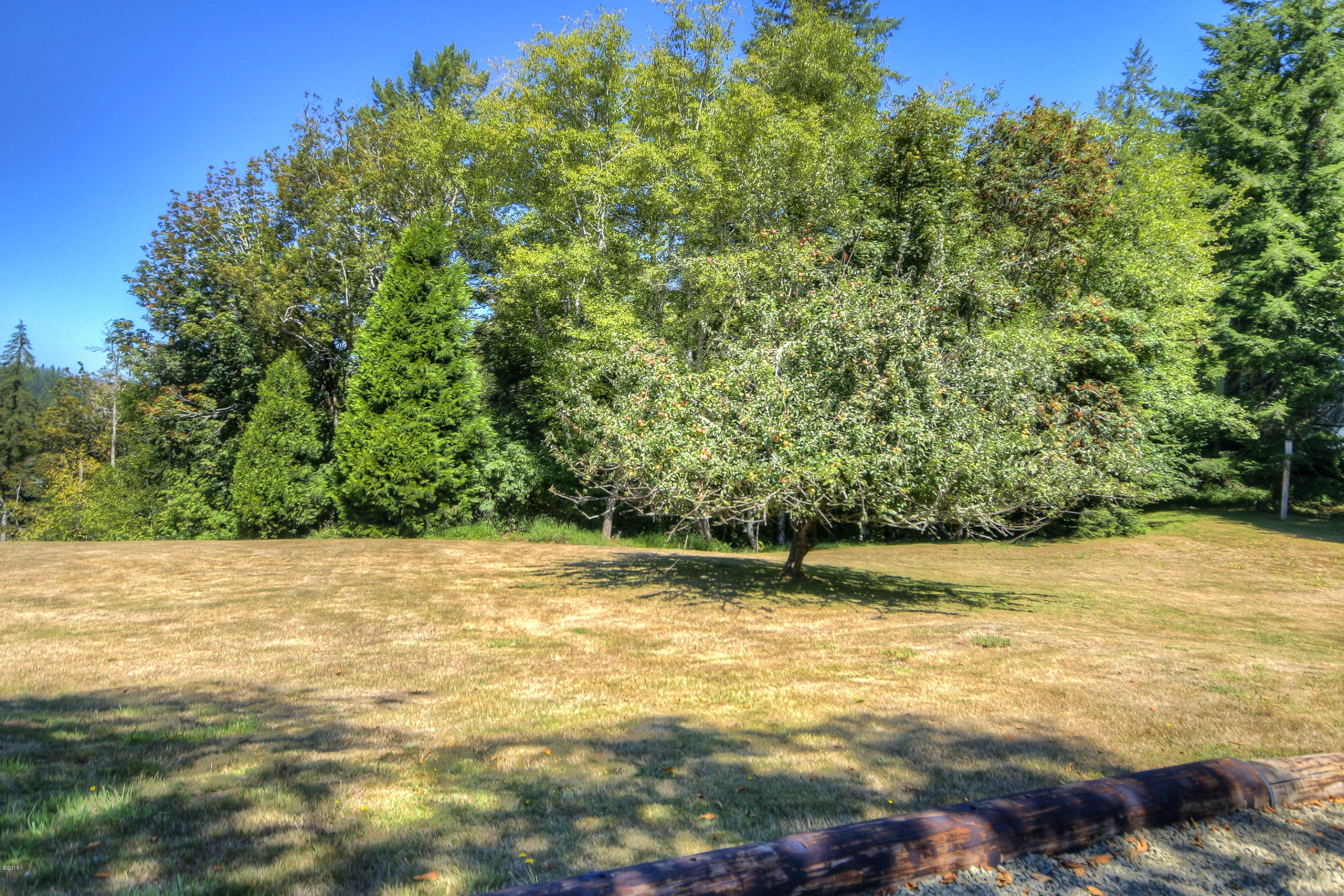 2050 Southeast Ammon Road Toledo, OR 97391 - Photo 27 of 27 27-IMG_0601_2_3-24