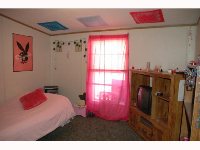 5939 Wheeler Road Delaware, OH 43015 - Photo 13 of 16