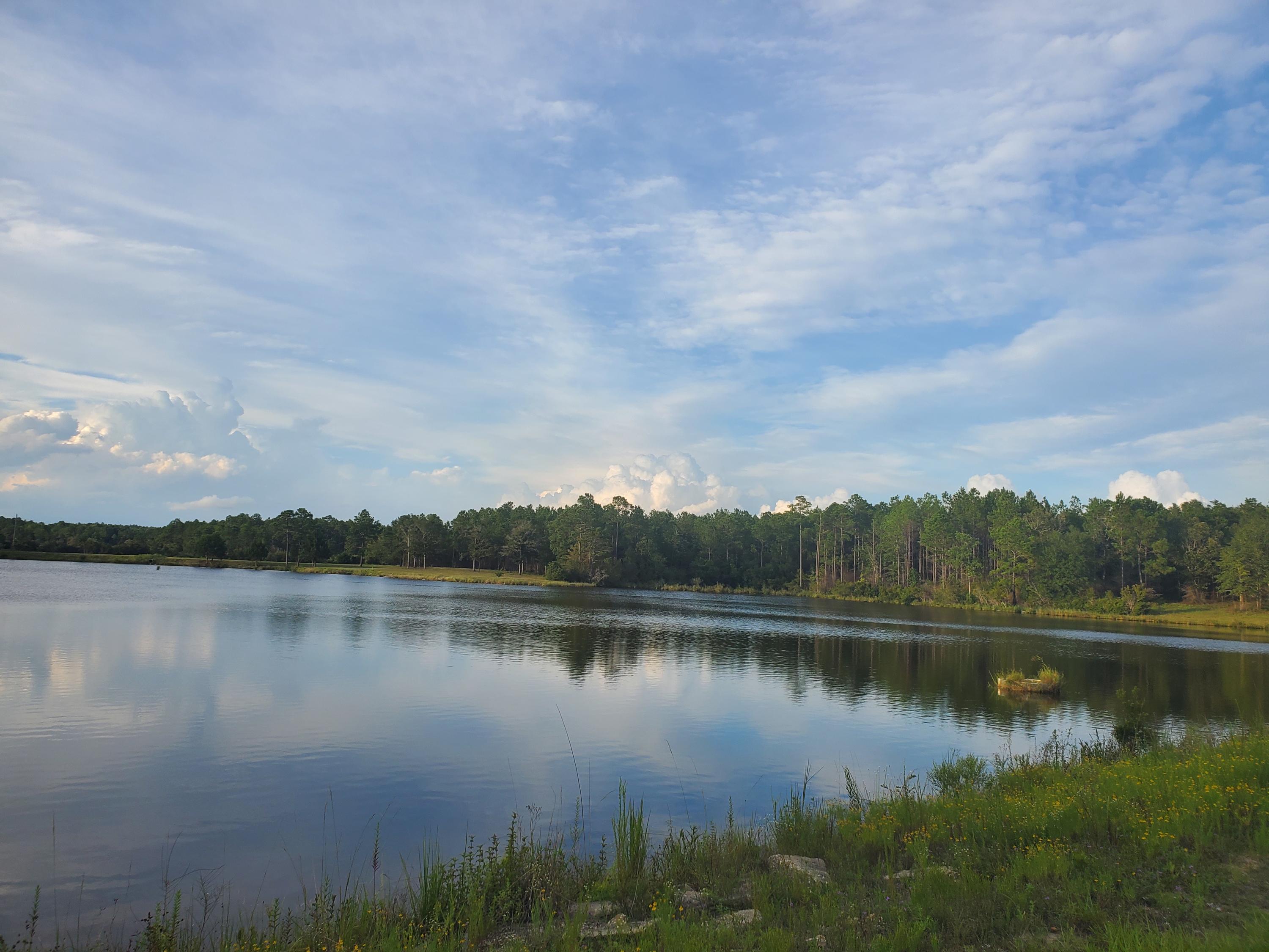 0 Higher Ground Road Laurel Hill, FL 32567 - Photo 17 of 27 20200821_182803